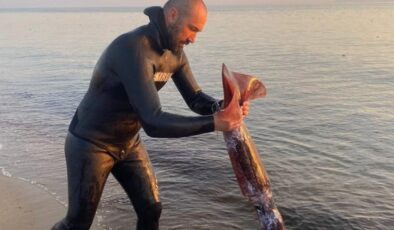 Bu bir rekor! Balıkesir, Ayvalık’ta zıpkınla 1,7 metrelik dev kalamar yakaladı