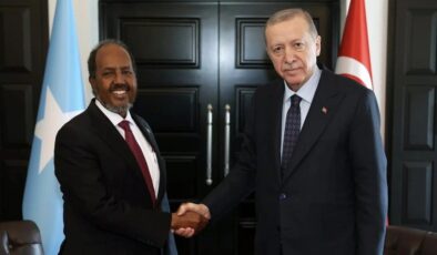 Cumhurbaşkanı Erdoğan, Somali Cumhurbaşkanı Hasan Şeyh Mahmud ile görüştü