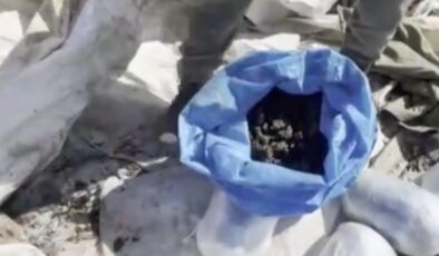Diyarbakır’da uyuşturucu operasyonu: 116 kilogram esrar ele geçirildi