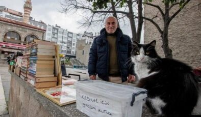Trabzon’da bağış kutusuna atılan paralarla sahipsiz kediler besleniyor