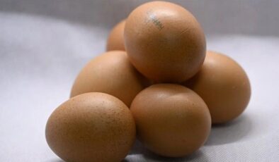 Martta en fazla fiyatı artan ürün ‘orta öğretim’, en çok düşen ‘yumurta’ oldu